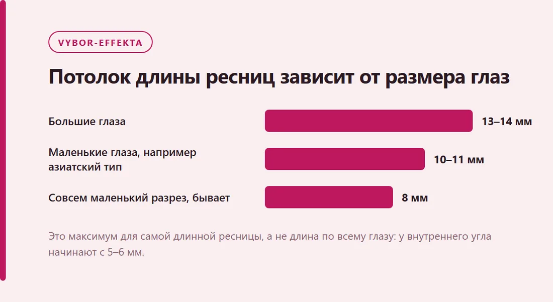 Потолок длины ресниц зависит от размера глаз: Большие глаза — 13–14 мм, Маленькие глаза, например азиатский тип — 10–11 мм, Совсем маленький разрез, бывает — 8 мм